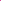 Ribbed Cuffed Beanie - 100% Cashmere - Disco Pink