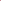 Regular Basic Scarf - 100% Cashmere - Holiday Pink