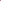 From Future Cap - Cotton - Burgundy